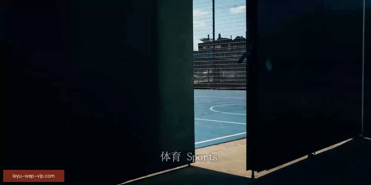 乐鱼体育-LEYU